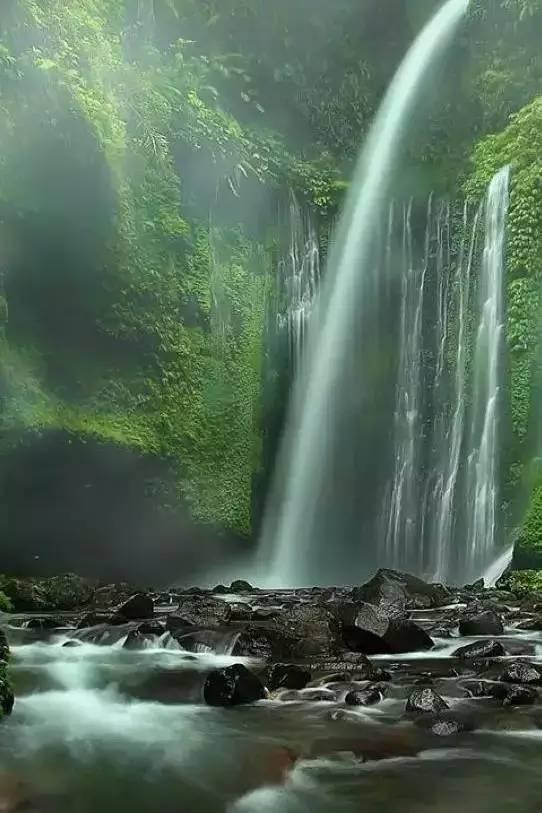 小长颈鹿逃离