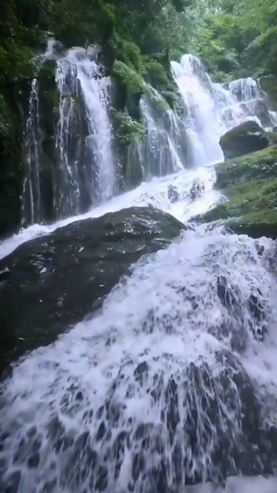 地球防卫军4.1